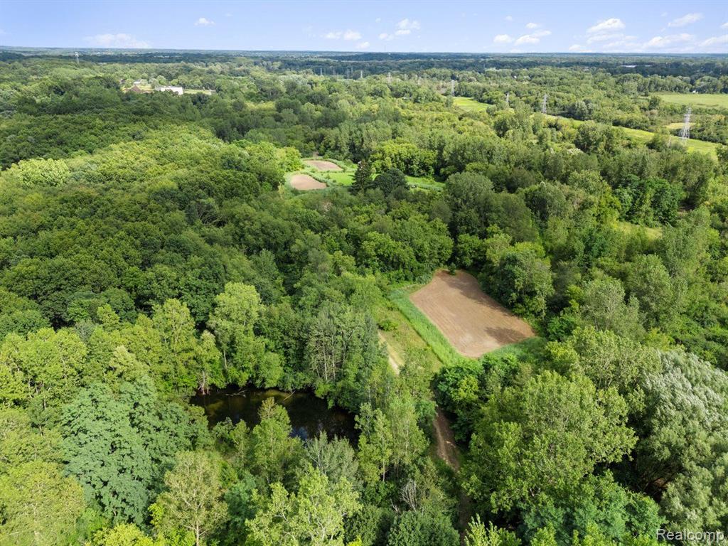 V/l Blake Road Jackson, MI 49201 - Photo 20 of 97 Gallery Image 20