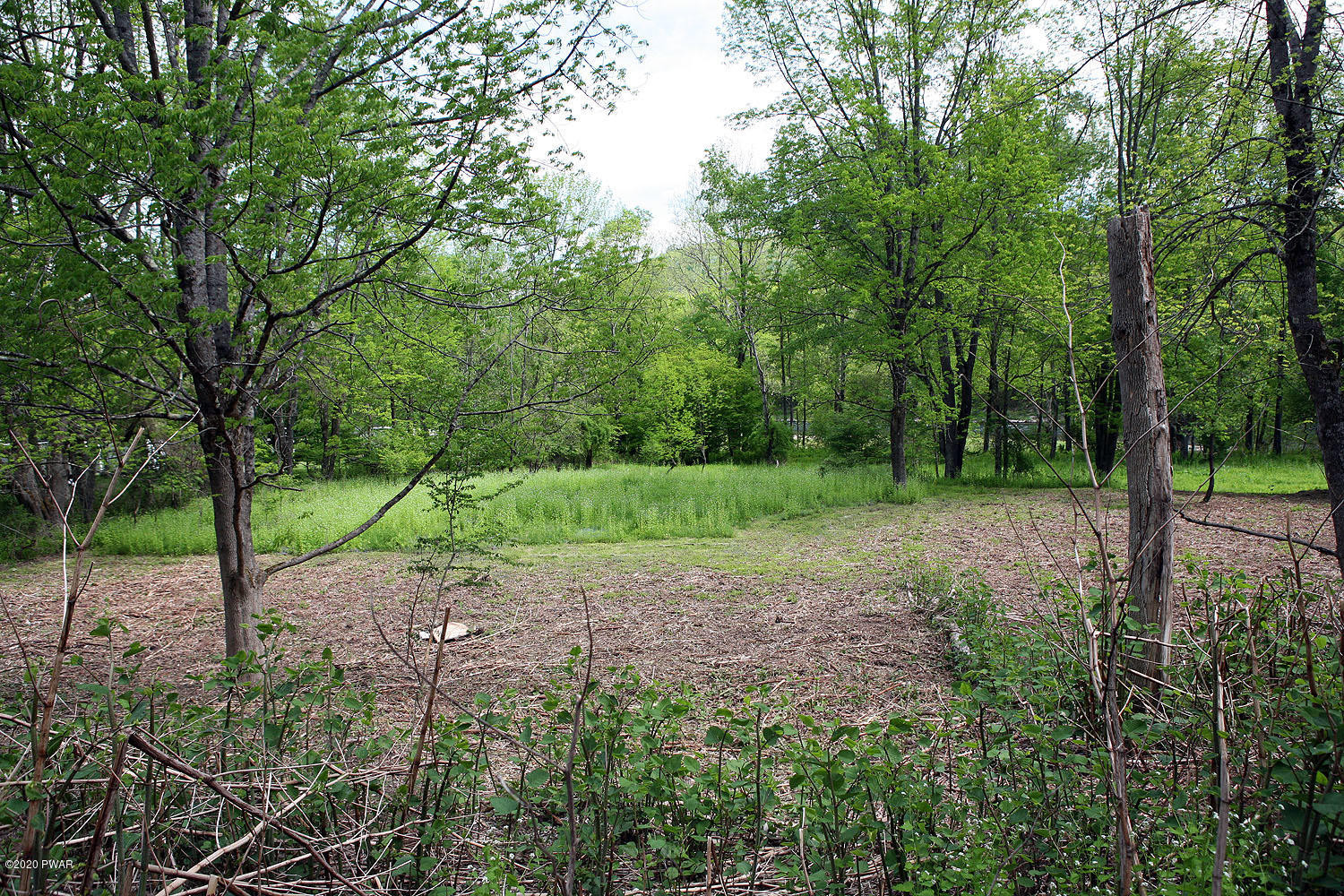 1126 Braman Road Equinunk, PA 18417 - Photo 18 of 21