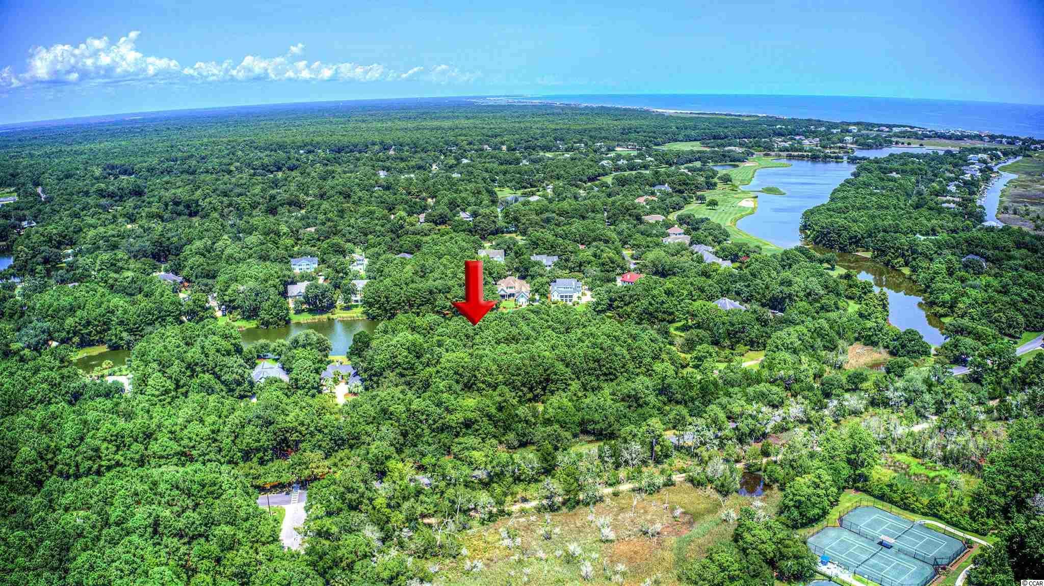 Lot 261 Blue Heron Road Georgetown, SC 29440 - Photo 1 of 40 Gallery Image 1