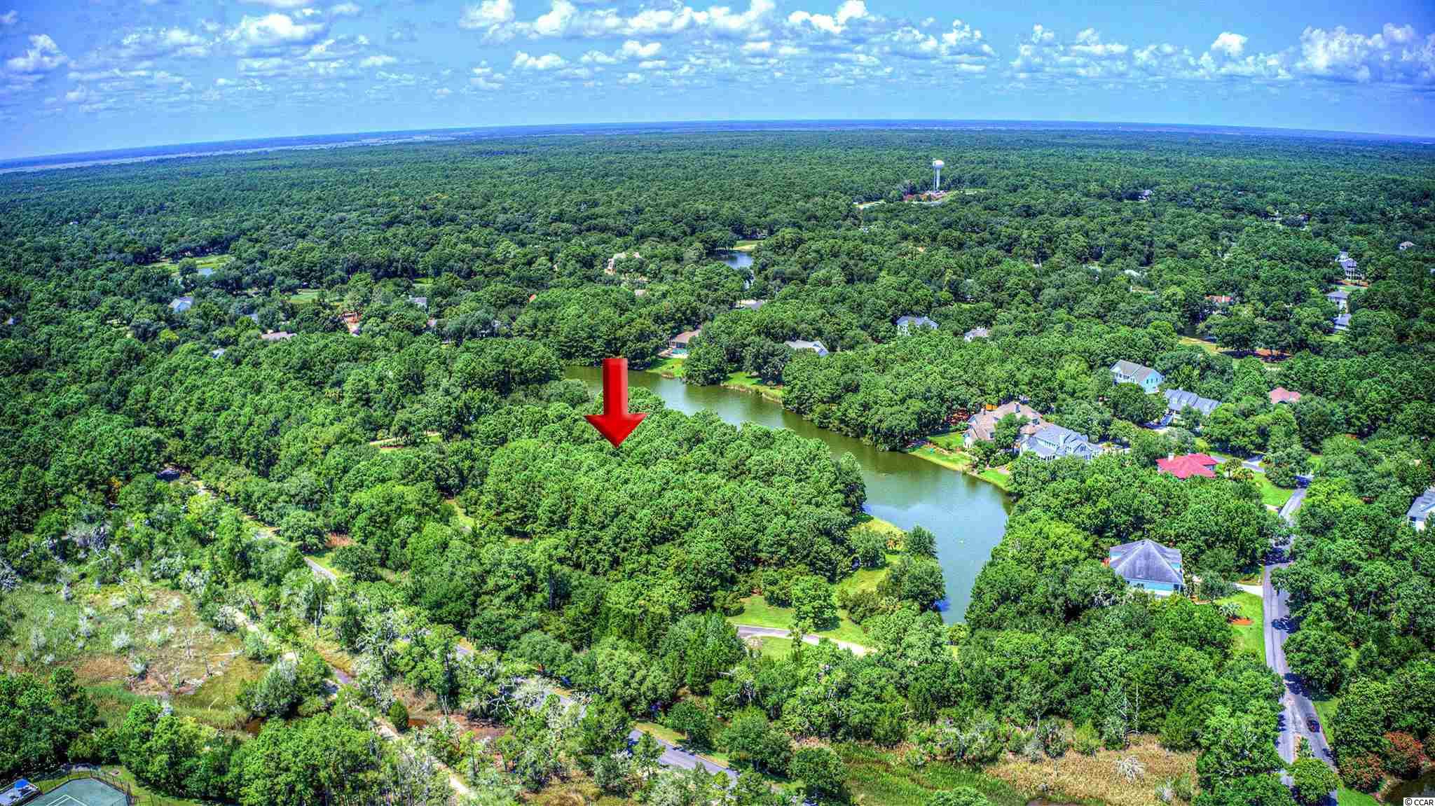 Lot 261 Blue Heron Road Georgetown, SC 29440 - Photo 2 of 40 Gallery Image 2