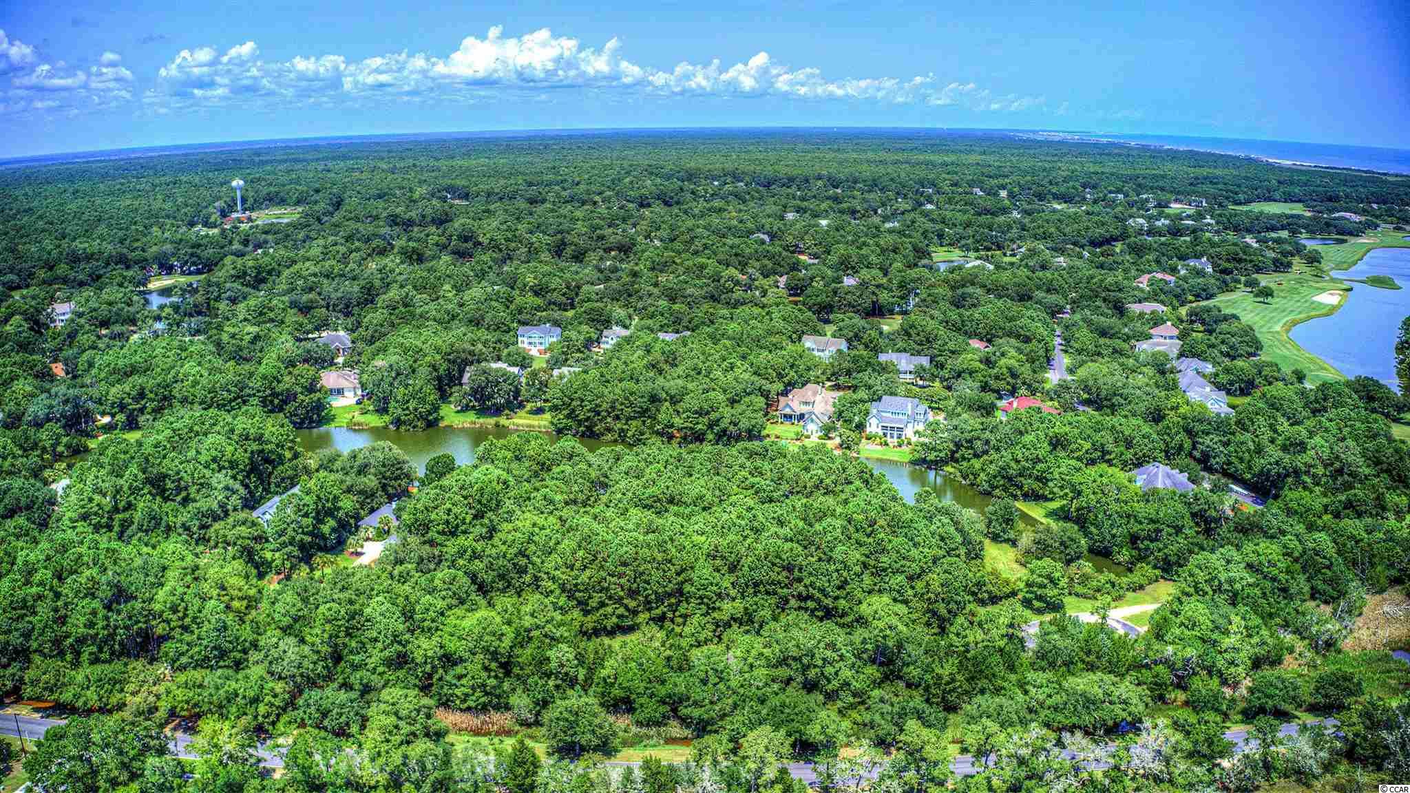 Lot 261 Blue Heron Road Georgetown, SC 29440 - Photo 14 of 40 Gallery Image 14