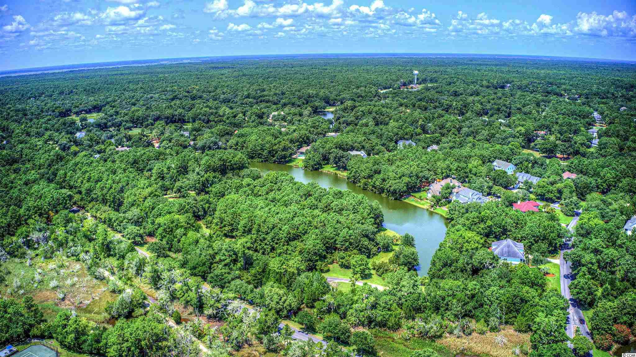 Lot 261 Blue Heron Road Georgetown, SC 29440 - Photo 16 of 40 Gallery Image 16