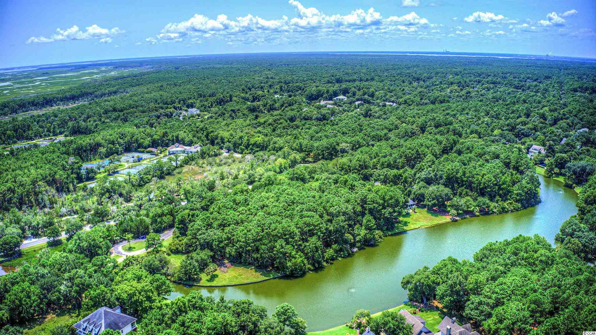 Lot 261 Blue Heron Road Georgetown, SC 29440 - Photo 19 of 40 Gallery Image 19