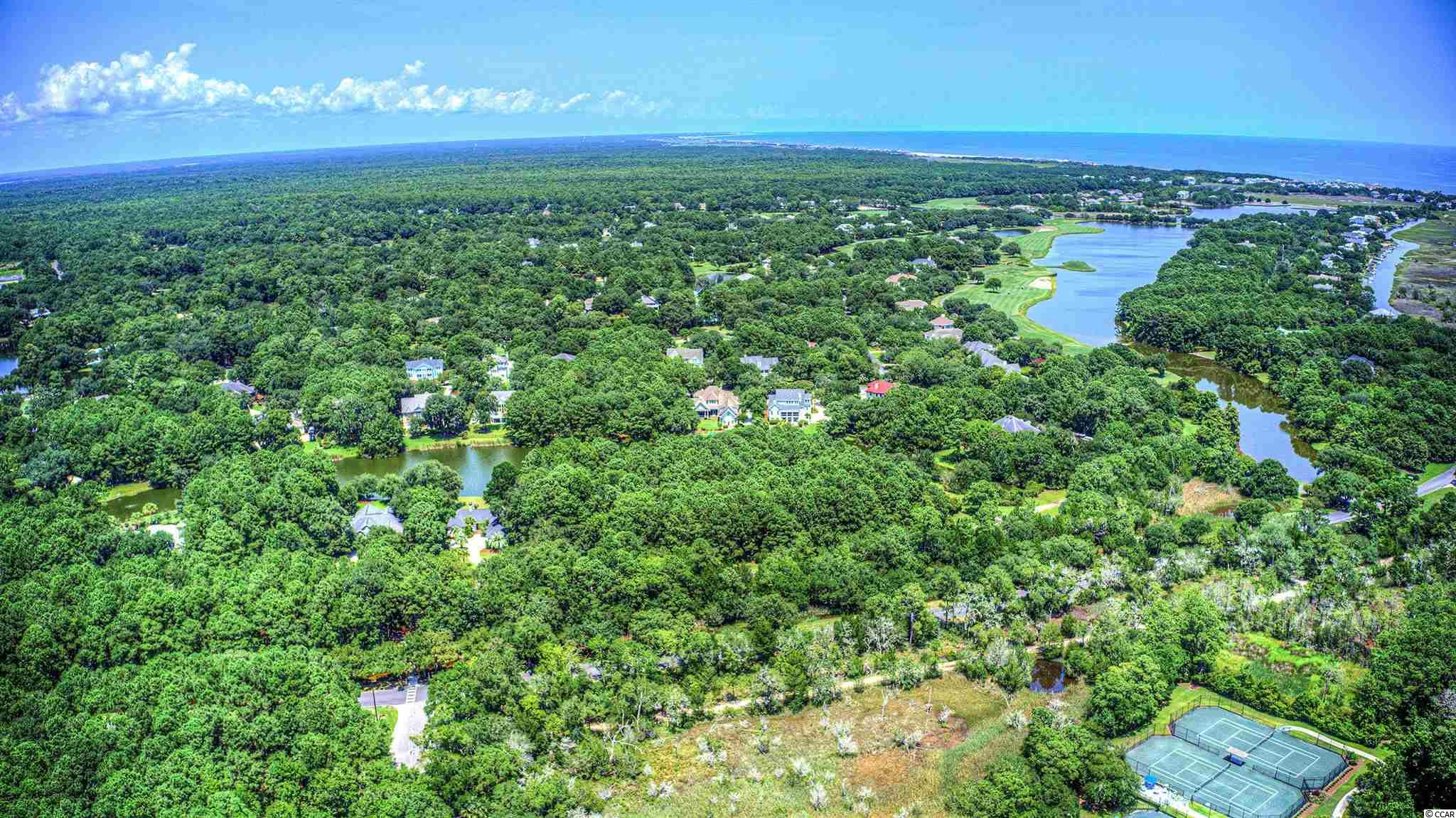 Lot 261 Blue Heron Road Georgetown, SC 29440 - Photo 20 of 40 Gallery Image 20