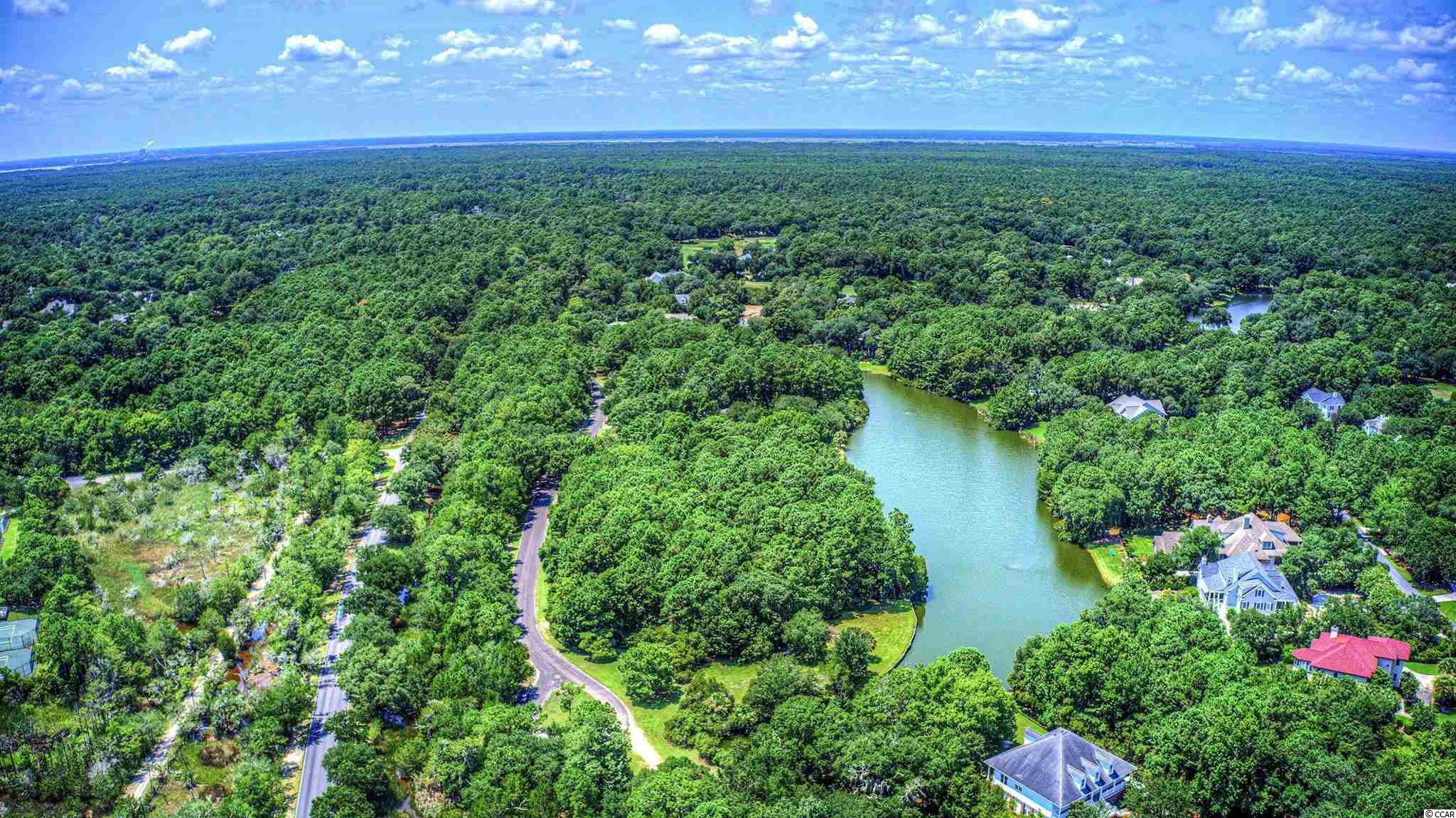 Lot 261 Blue Heron Road Georgetown, SC 29440 - Photo 23 of 40 Gallery Image 23