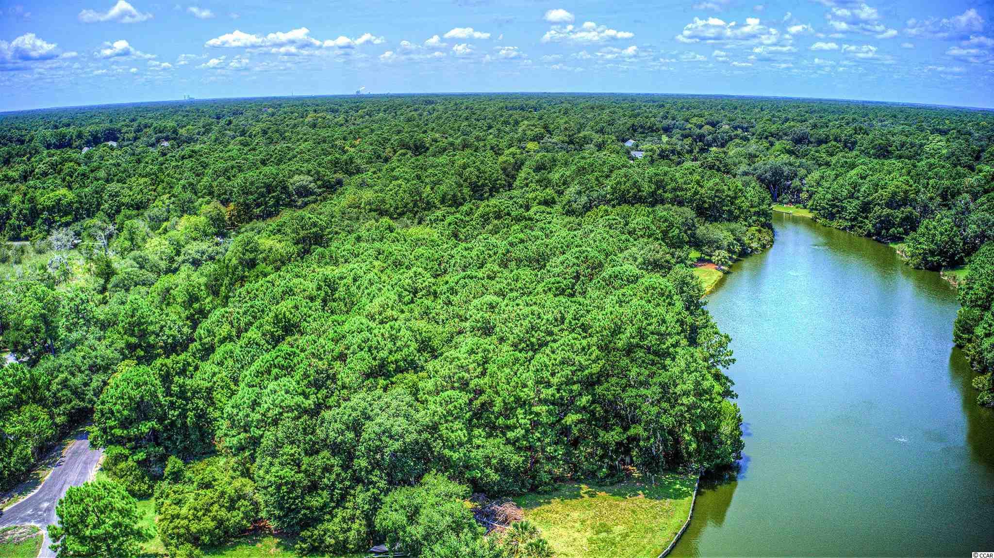 Lot 261 Blue Heron Road Georgetown, SC 29440 - Photo 24 of 40 Gallery Image 24