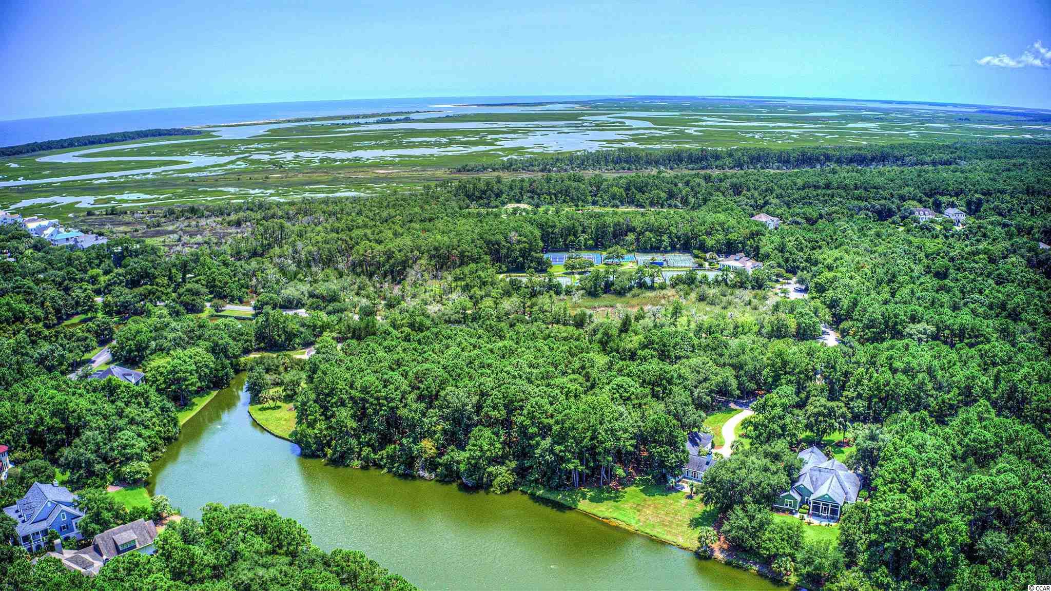 Lot 261 Blue Heron Road Georgetown, SC 29440 - Photo 27 of 40 Gallery Image 27