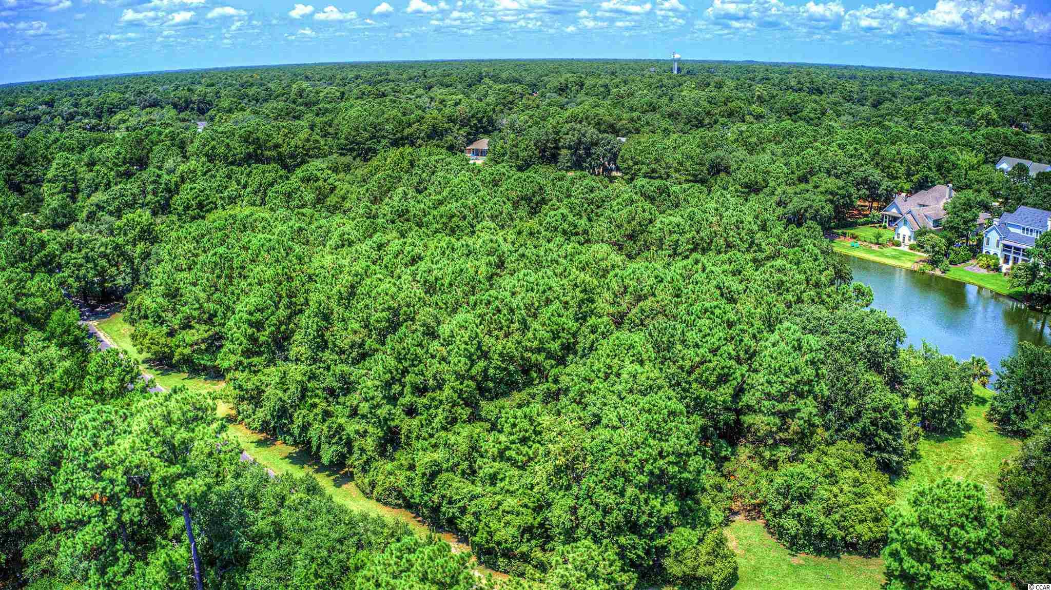 Lot 261 Blue Heron Road Georgetown, SC 29440 - Photo 28 of 40 Gallery Image 28