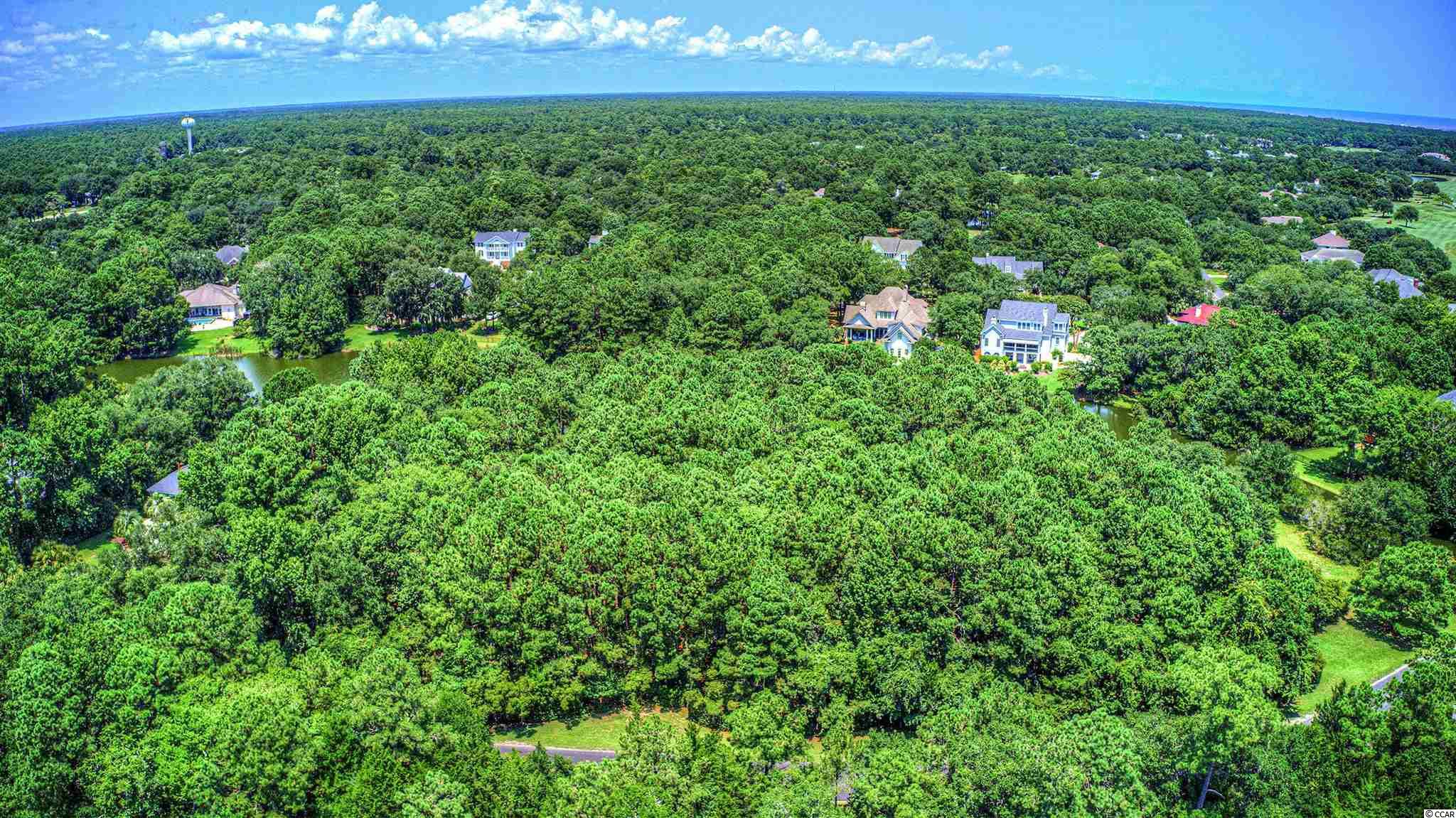 Lot 261 Blue Heron Road Georgetown, SC 29440 - Photo 30 of 40 Gallery Image 30
