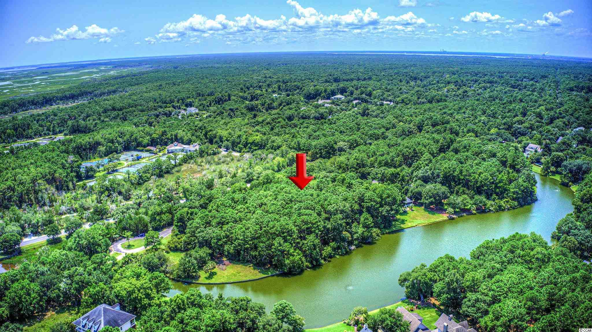 Lot 261 Blue Heron Road Georgetown, SC 29440 - Photo 4 of 40 Gallery Image 4