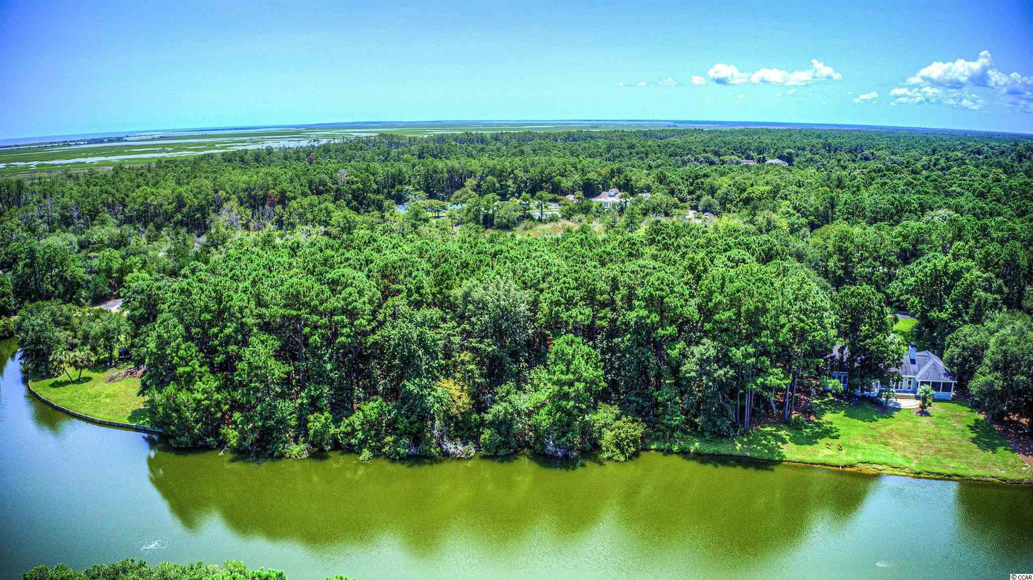 Lot 261 Blue Heron Road Georgetown, SC 29440 - Photo 31 of 40 Gallery Image 31