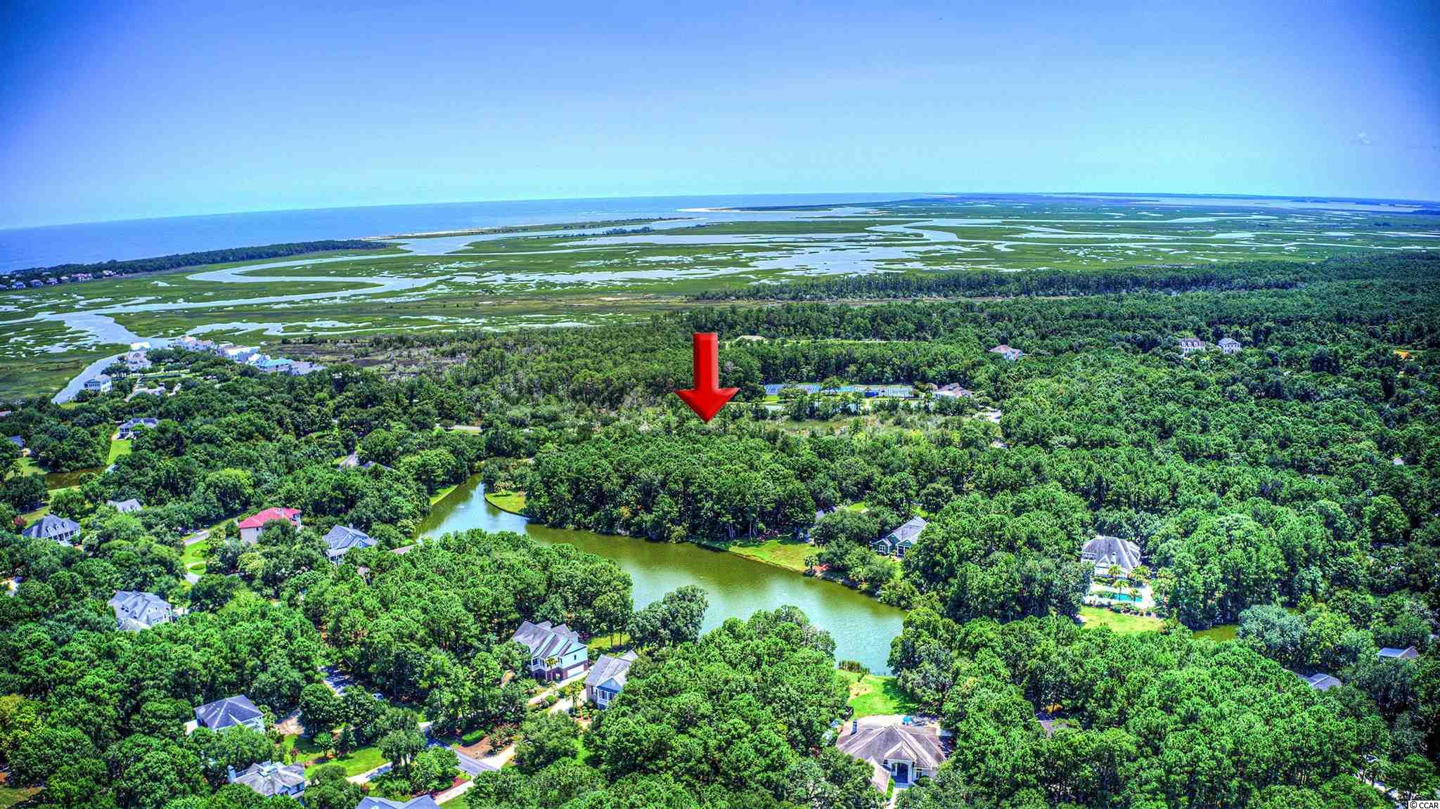 Lot 261 Blue Heron Road Georgetown, SC 29440 - Photo 6 of 40 Gallery Image 6