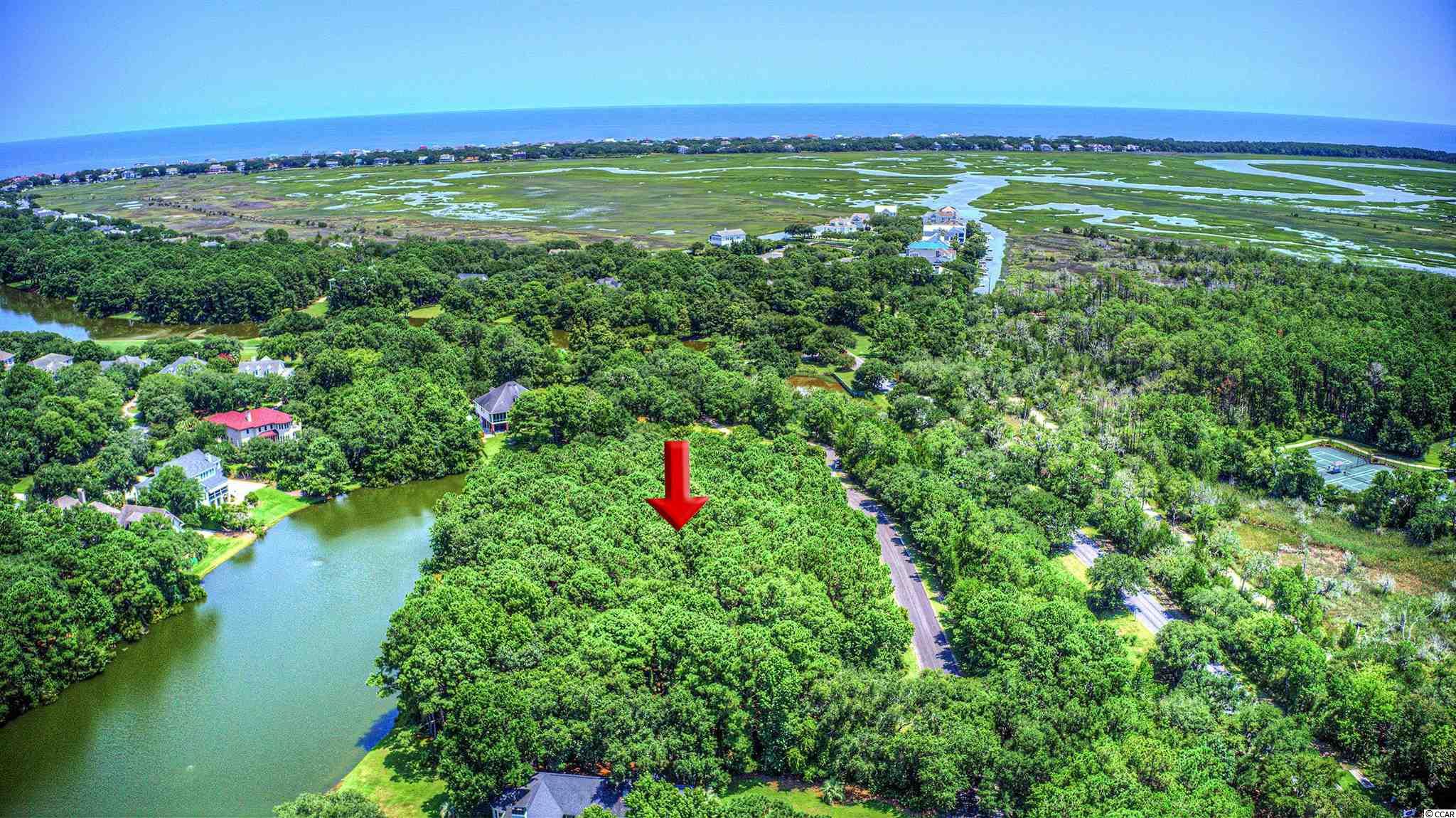 Lot 261 Blue Heron Road Georgetown, SC 29440 - Photo 7 of 40 Gallery Image 7