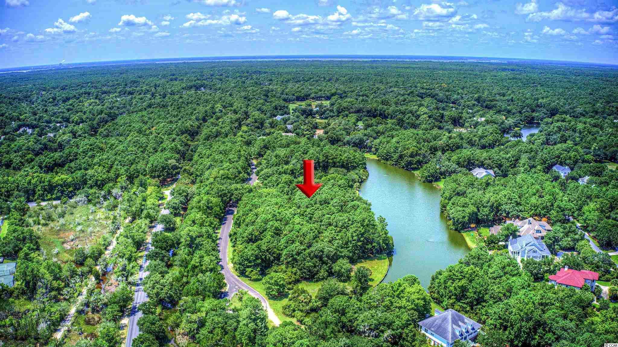 Lot 261 Blue Heron Road Georgetown, SC 29440 - Photo 8 of 40 Gallery Image 8