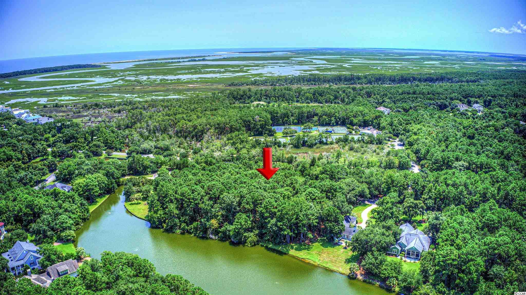 Lot 261 Blue Heron Road Georgetown, SC 29440 - Photo 10 of 40 Gallery Image 10