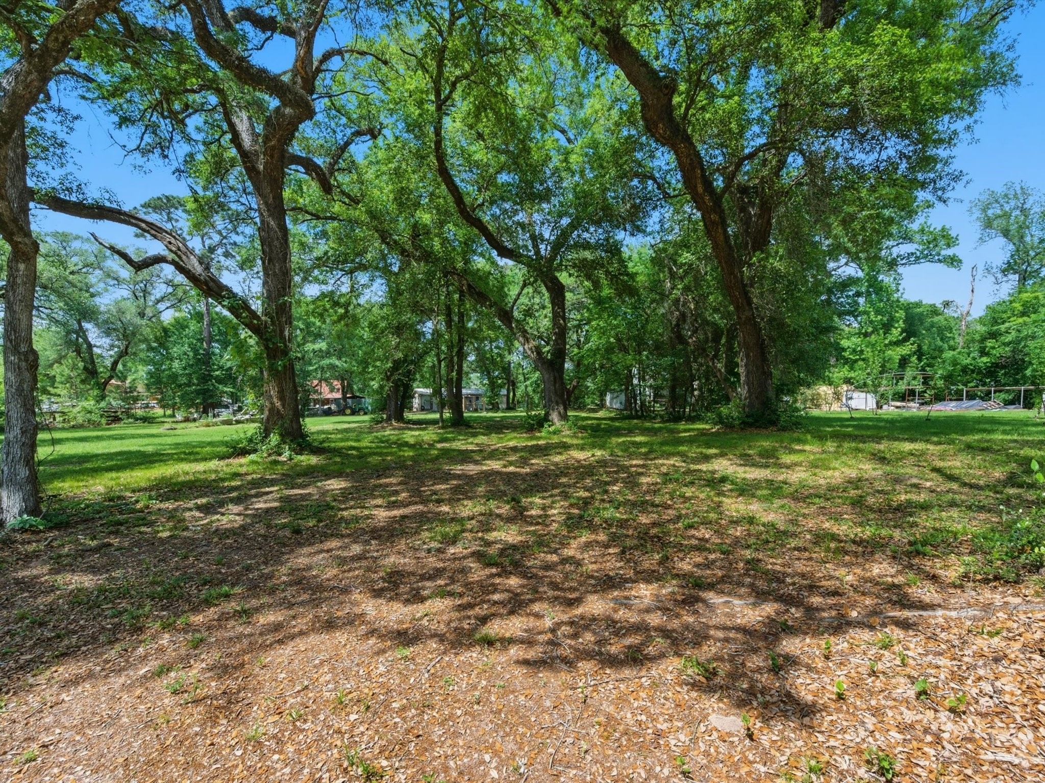 27855 Kresdorn Road Hockley, TX 77447 - Photo 14 of 24 a view of outdoor space with trees