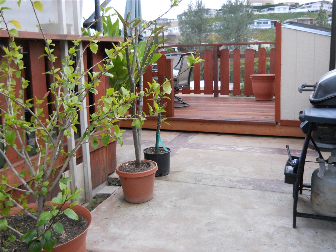 9395 Harritt Road, Unit 191 Lakeside, CA 92040 - Photo 17 of 25 Gallery Image 17