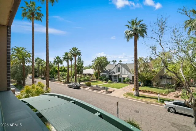 a view of a park with palm trees