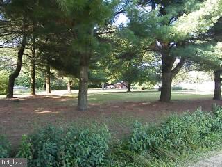33034 West Post Office Road Princess Anne, MD 21853 - Photo 2 of 2
