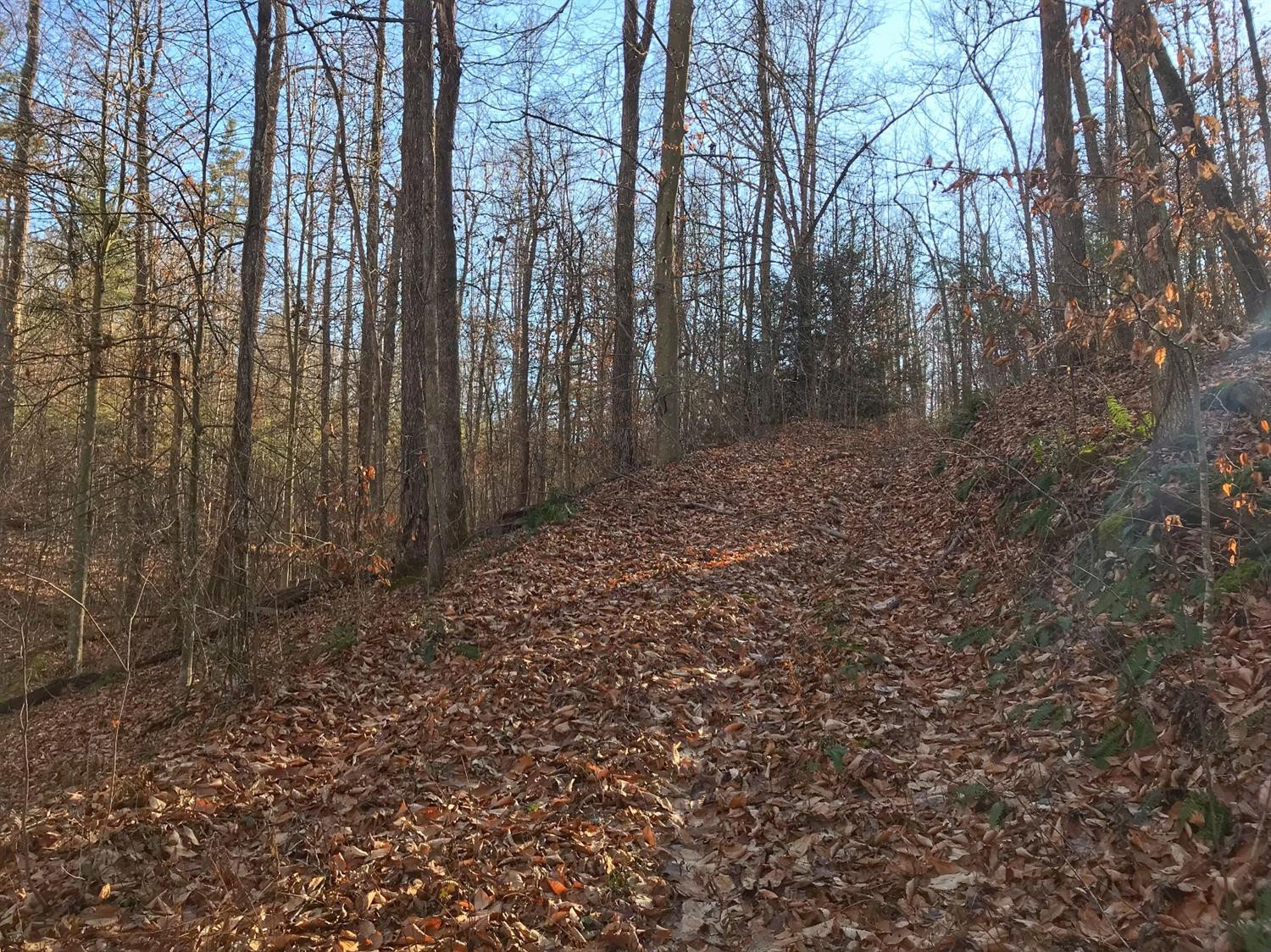 1 Woodward Ridge Road Ravenna, KY 40472 - Photo 14 of 19 Listing Photo