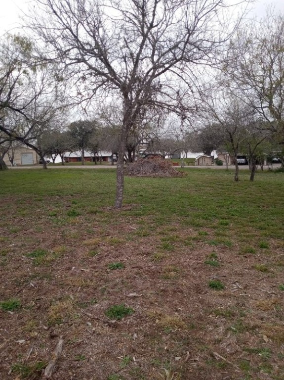 146 Windy Ridge Loop  