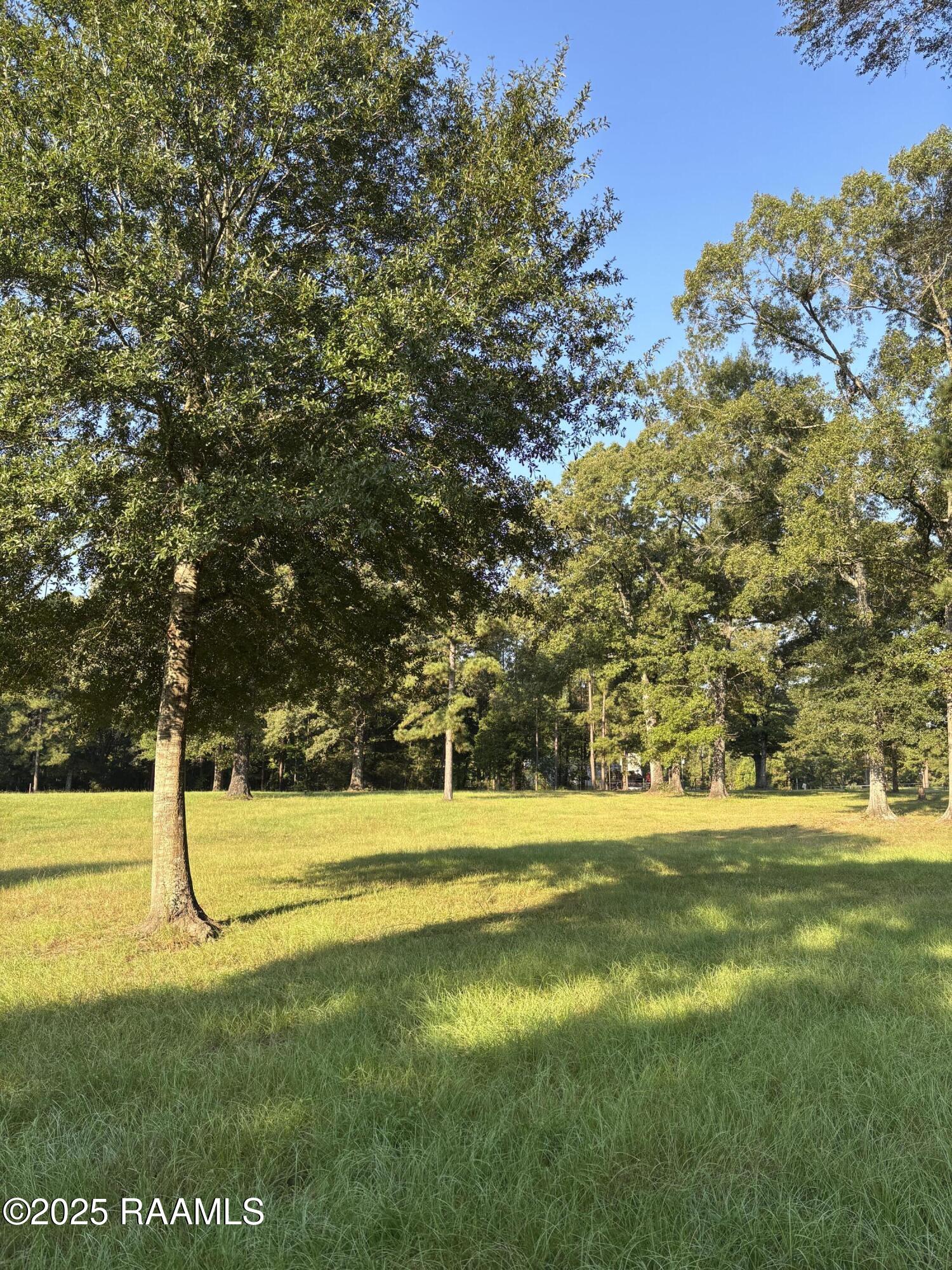 399 Ahtus Melder Road Forest Hill, LA 71430 - Photo 9 of 19