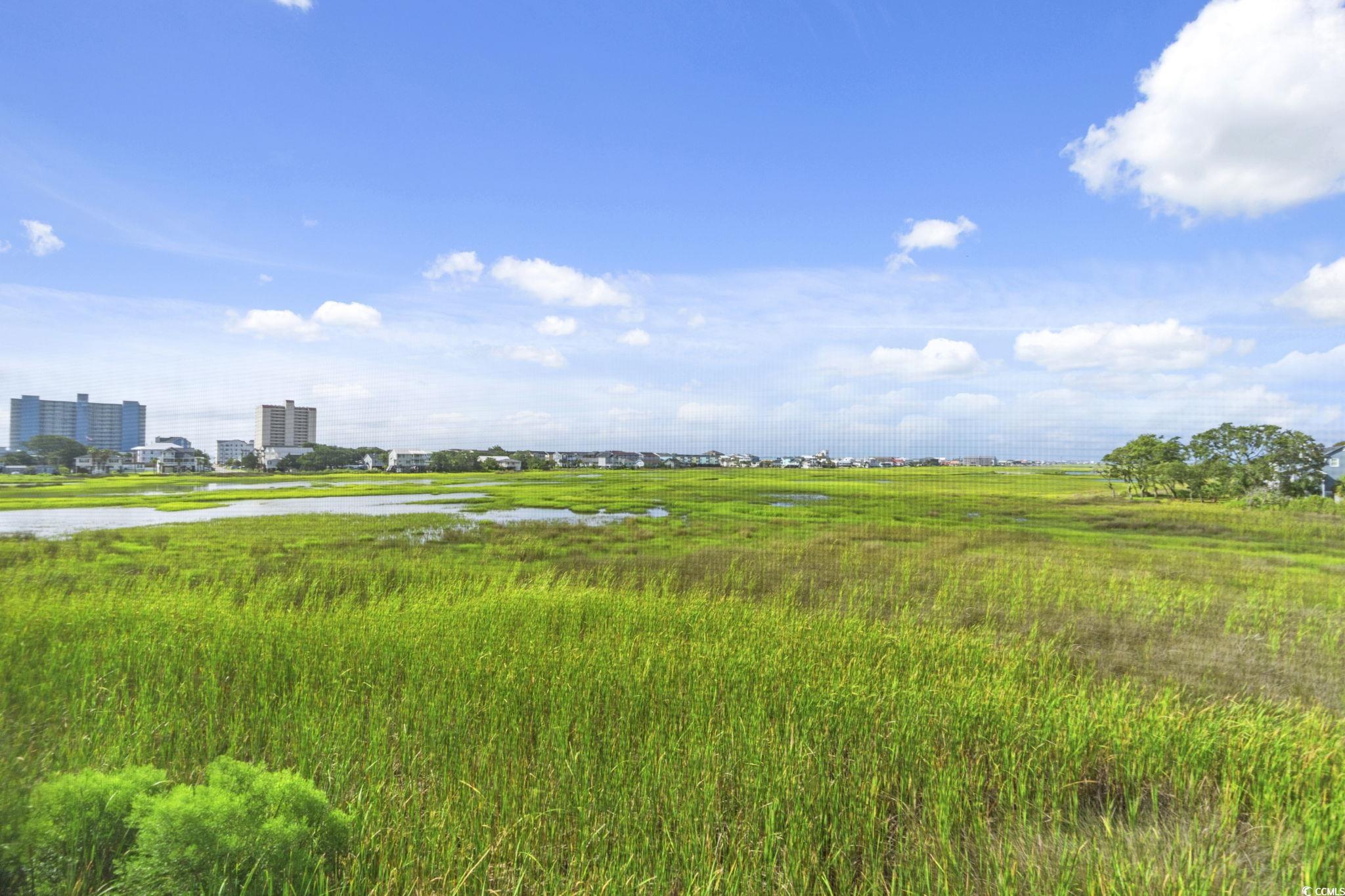 300 Marsh Place, Unit 204A Murrells Inlet, SC 29576 - Photo 24 of 39