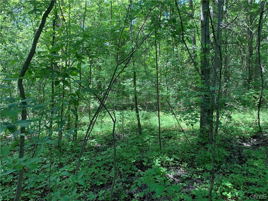 0 Porter Center Road Youngstown, NY 14174 - Photo 2 of 11