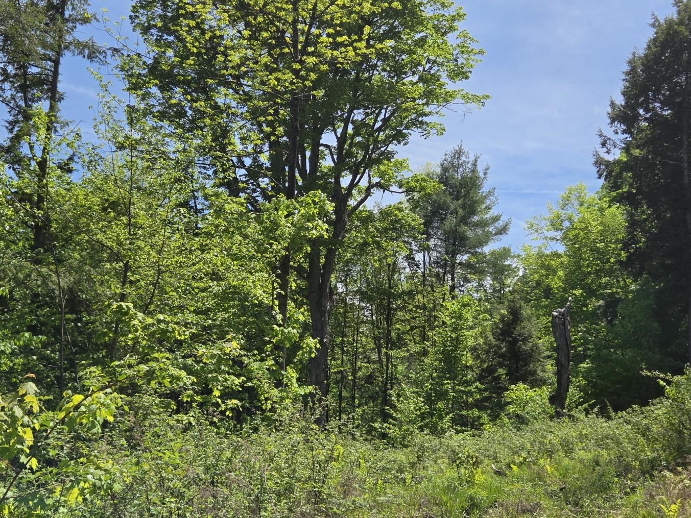 0 Vt Route, Unit LOT 2 Bethel, VT 05032 - Photo 10 of 11