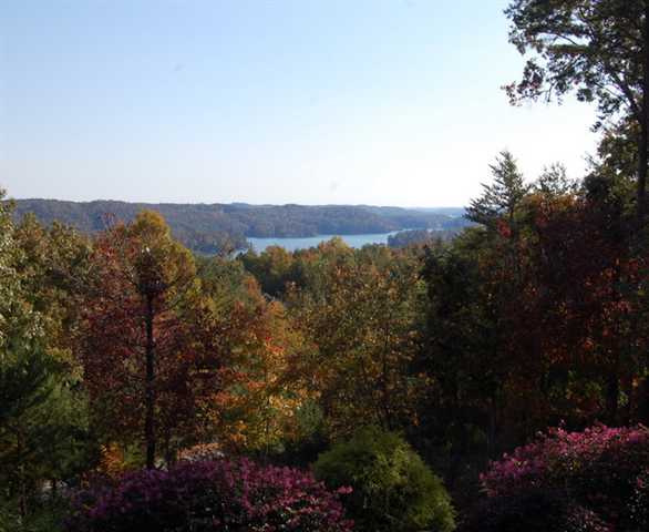 208 Buttercup Way, Unit W93 Sunset, SC 29685 - Photo 5 of 27 Gallery Image 5