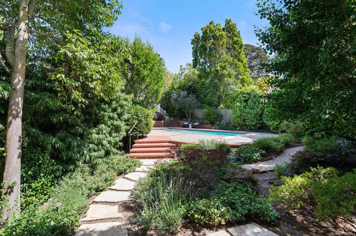 549 Edgewood Road San Mateo, CA 94402 - Photo 34 of 44 a view of a yard with plants and large trees