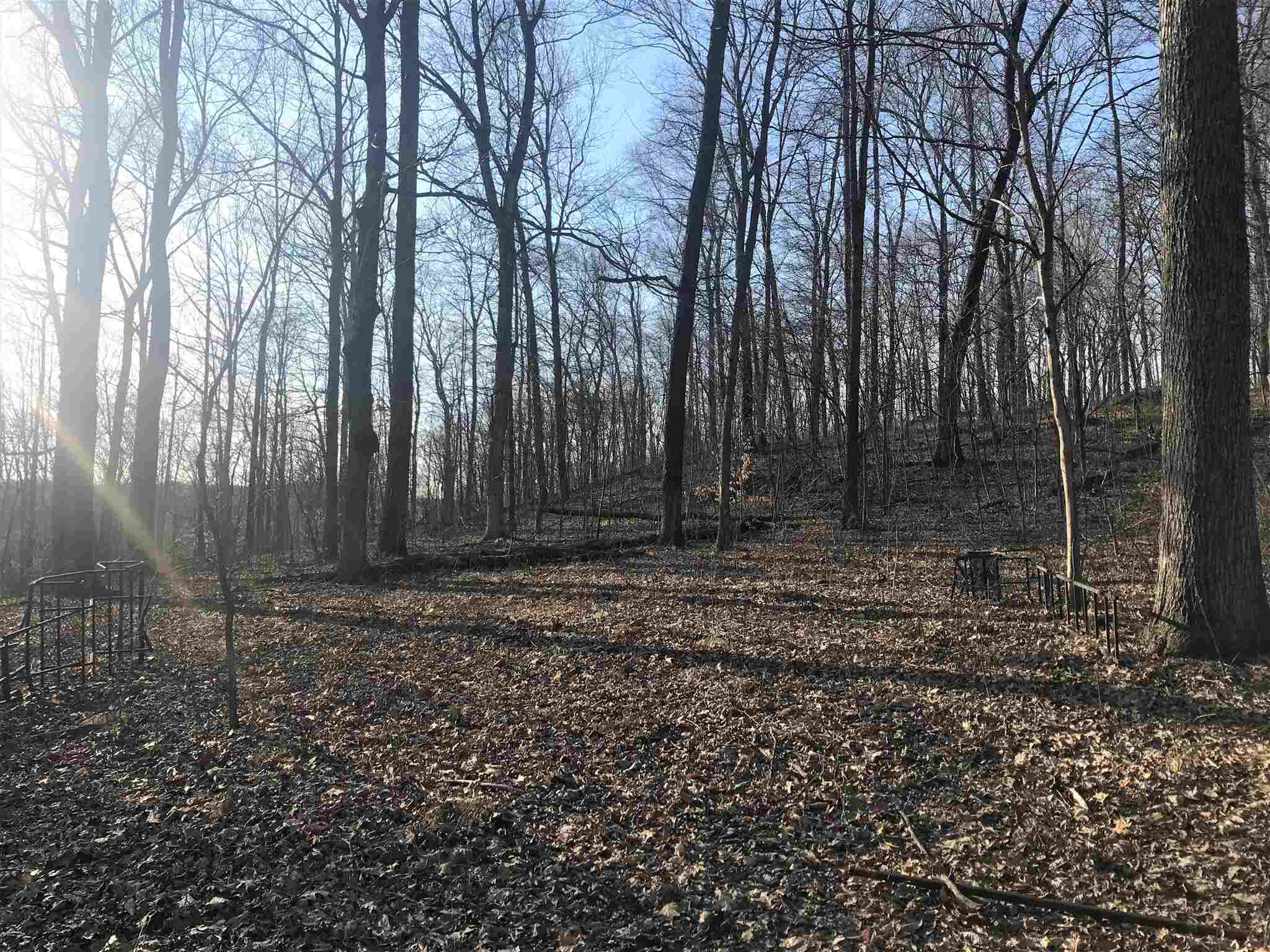 Fred Sims Rd Shoals Shoals, IN 47581 - Photo 10 of 13
