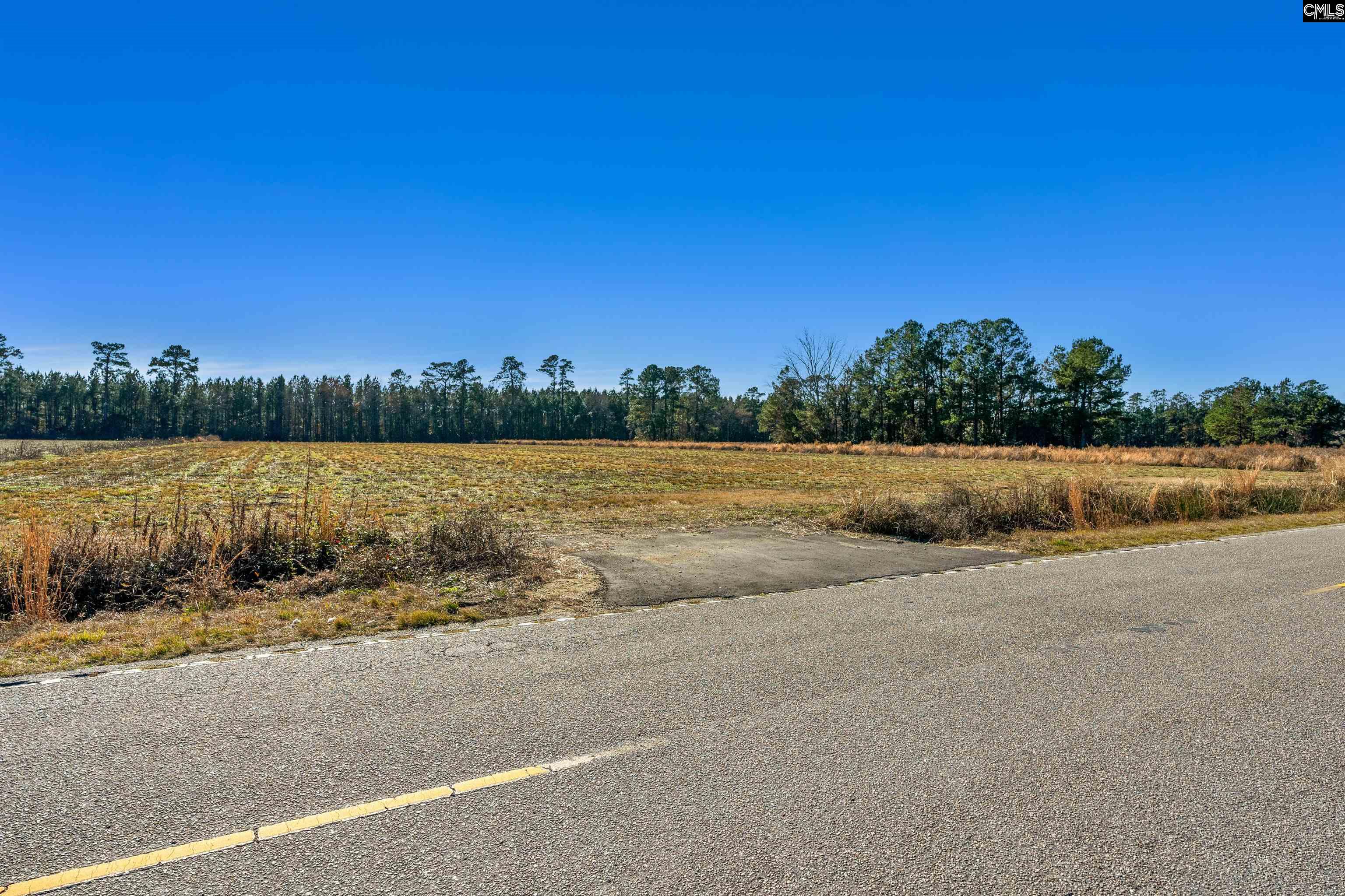 1745 Williams Hill Road Hemingway, SC 29554 - Photo 23 of 25