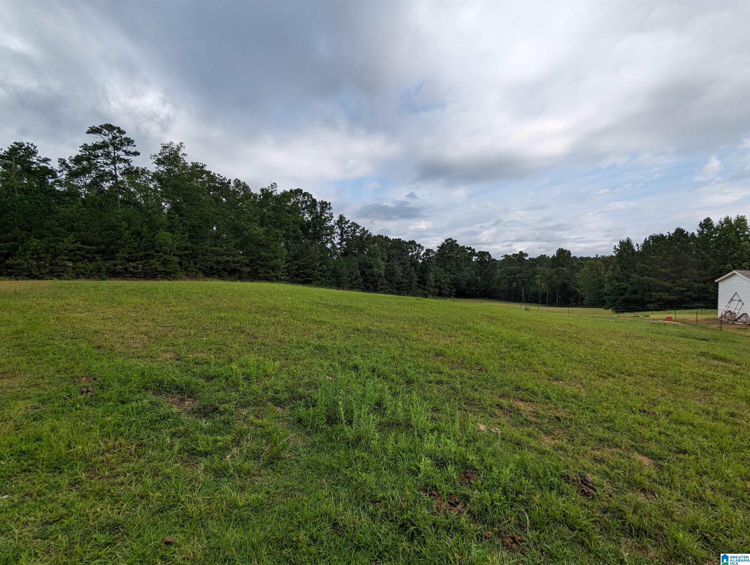 239 County Road 835 Clanton, AL 35046 - Photo 42 of 55