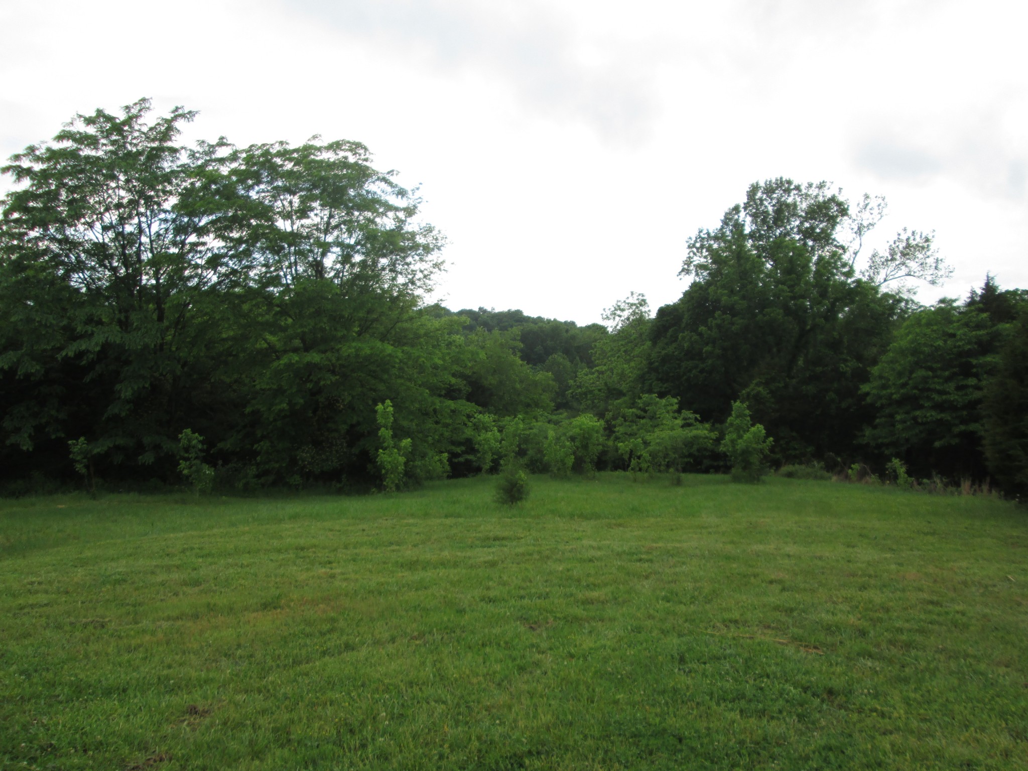 6 Roberts Road Watertown, TN 37184 - Photo 1 of 16 a view of a grassy field with trees