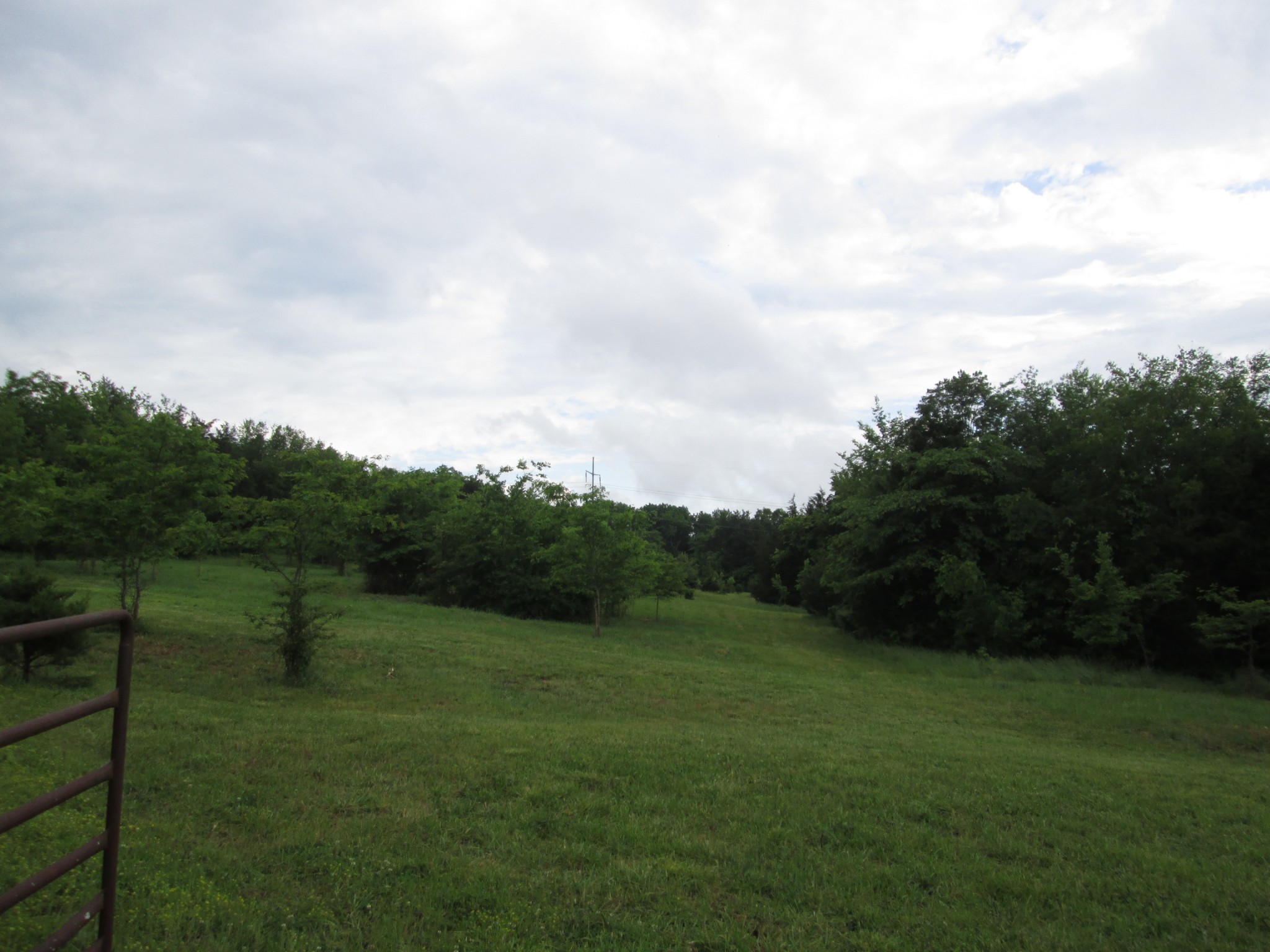 6 Roberts Road Watertown, TN 37184 - Photo 2 of 16 a view of a garden with trees