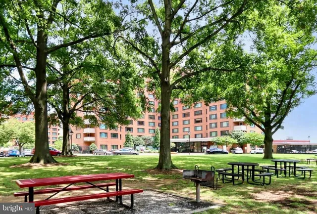 a view of a park with large trees