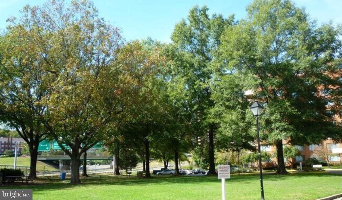 1111 Arlington Boulevard, Unit 615 Arlington, VA 22209 - Photo 33 of 37 a big yard with lots of trees