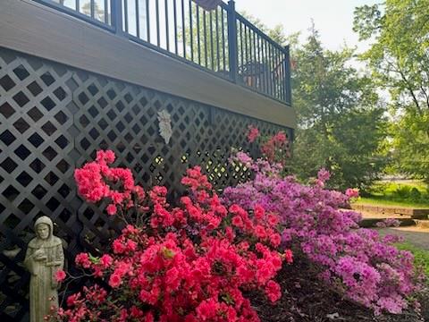 463 Inwood Road Pittsburgh, PA 15237 - Photo 36 of 47 a picture of flowers