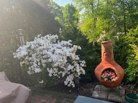 463 Inwood Road Pittsburgh, PA 15237 - Photo 38 of 47 a view of a backyard with fountain and a garden