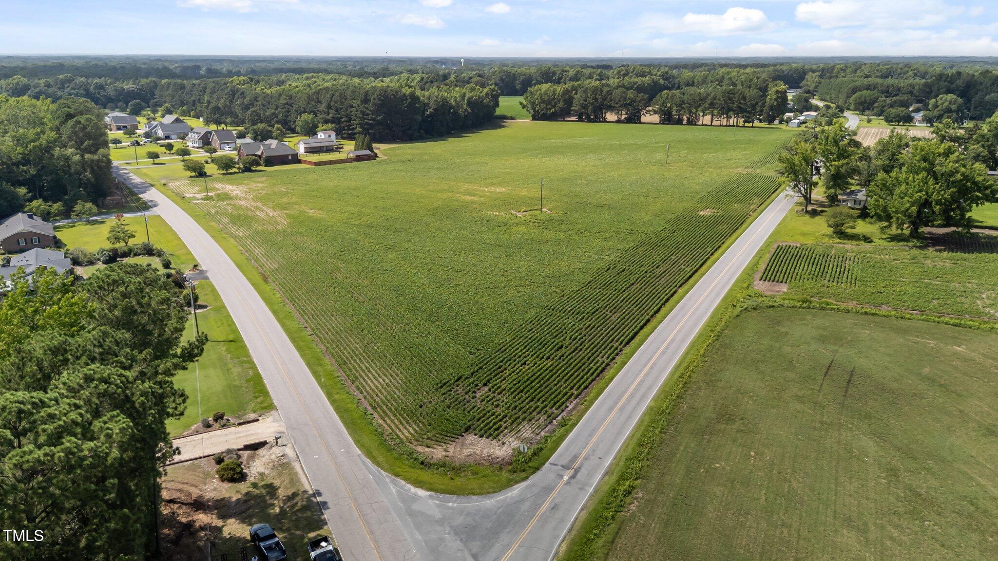 0 Piney Grove Church Road Kenly, NC 27542 - Photo 3 of 9 3-web-or-mls-DJI_20250617154649_0589_D