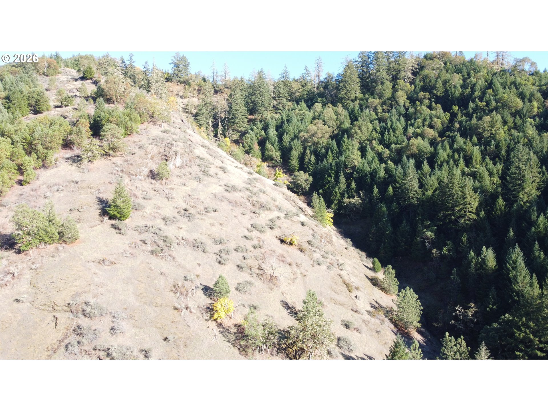 1441 Bilger Creek Road Myrtle Creek, OR 97457 - Photo 37 of 44