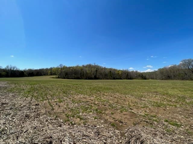 872 Region - Reedyville Road Roundhill, KY 42275 - Photo 1 of 1 Gallery Image 1