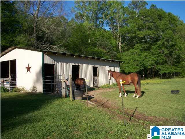 44 Shanghai Road Springville, AL 35146 - Photo 26 of 30