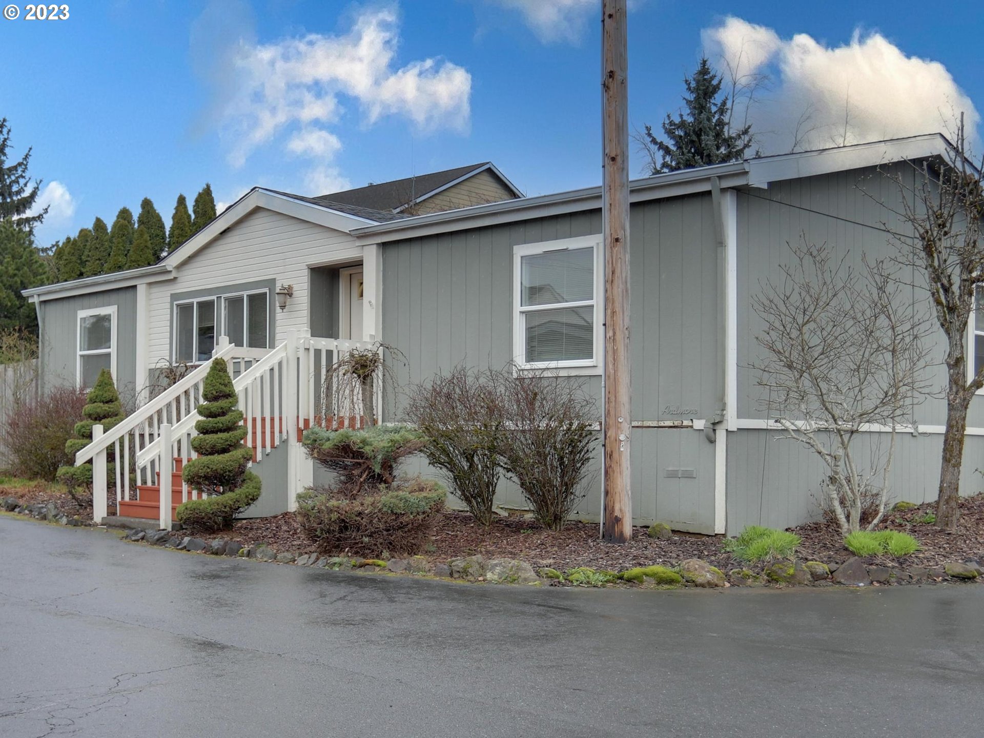 a backyard of a house with potted plants and a large tree