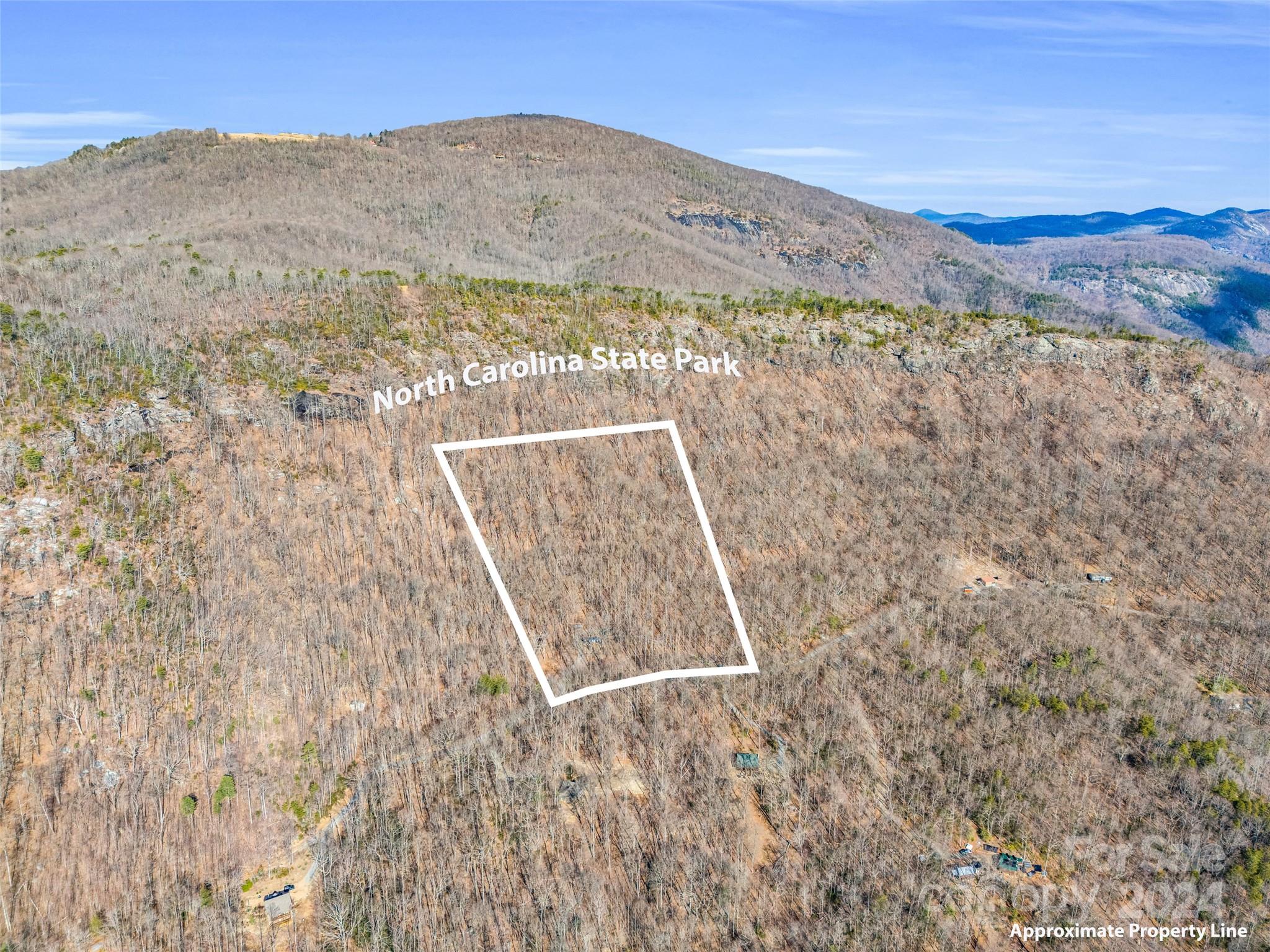 1730 Judes Gap Road Mill Spring, NC 28756 - Photo 26 of 37 a view of a mountain with a field