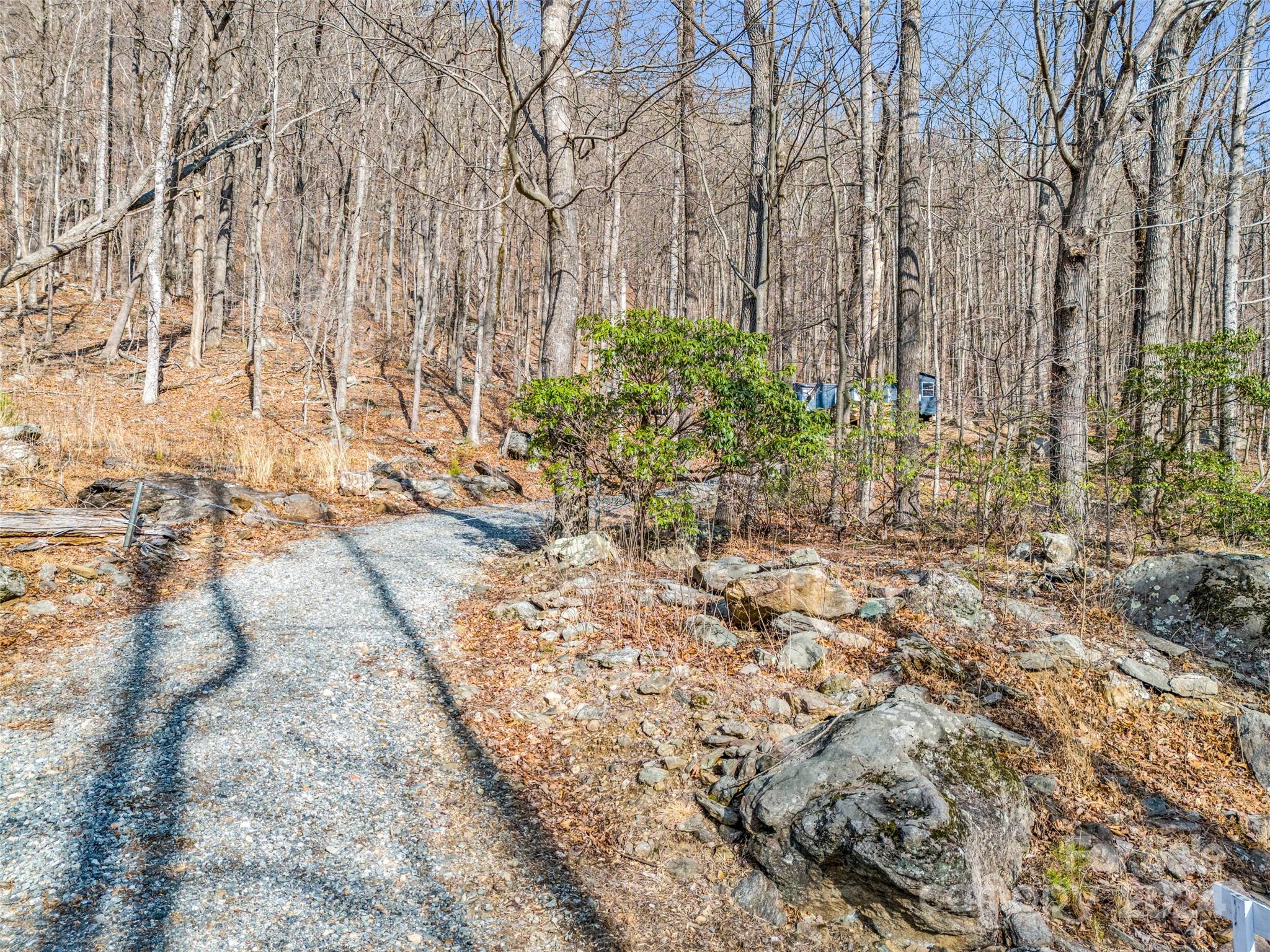 1730 Judes Gap Road Mill Spring, NC 28756 - Photo 35 of 37 a view of yard