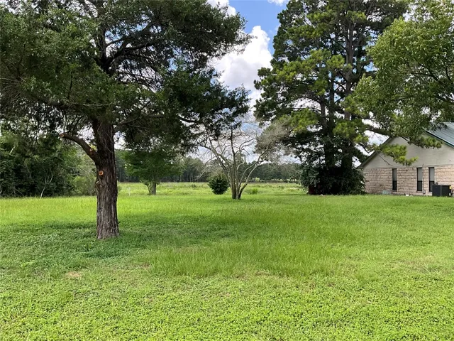 a huge green field with lots of trees