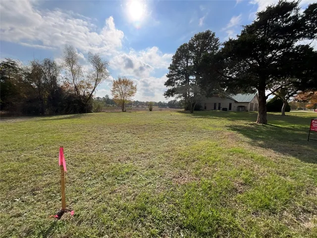 a view of a yard with large trees