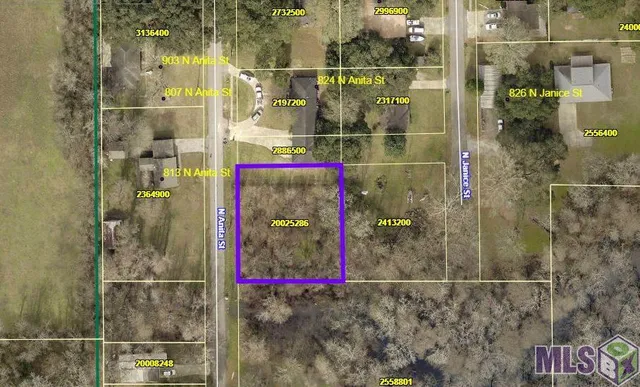 $29,000 | 0 North Anita Street, Gonzales, LA 70737